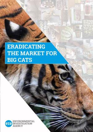 ERADICATING the MARKET for BIG CATS JAGUAR: Near Threatened