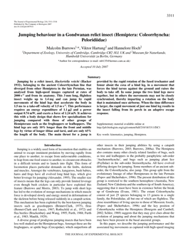 Jumping Behaviour in a Gondwanan Relict Insect (Hemiptera