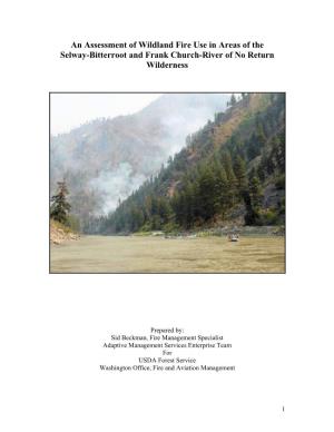 An Assessment of Wildland Fire Use in Areas of the Selway-Bitterroot and Frank Church-River of No Return Wilderness