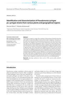 Identification and Characterization of Pseudomonas Syringae Pv