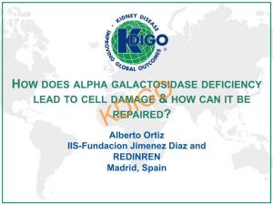 How Does Alpha Galactosidase Deficiency