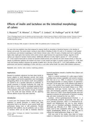 Effects of Inulin and Lactulose on the Intestinal Morphology of Calves