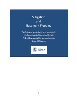 Basement Flood Mitigation