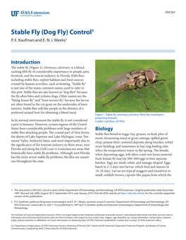 Stable Fly (Dog Fly) Control1 P