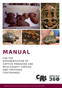 Manual for the Differentiation of Captive-Produced and Wild-Caught Turtles and Tortoises (Testudines)