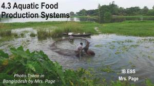 4.3 Aquatic Food Production Systems