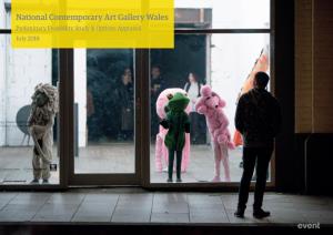 National Contemporary Art Gallery Wales: Preliminary Feasibility Study
