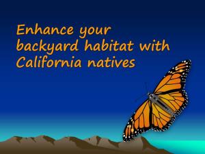 Enhance Your Backyard Habitat with California Natives