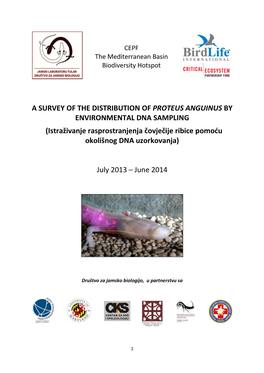 A SURVEY of the DISTRIBUTION of PROTEUS ANGUINUS by ENVIRONMENTAL DNA SAMPLING (Istraživanje Rasprostranjenja Čovječije Ribic