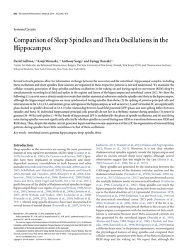 Comparison of Sleep Spindles and Theta Oscillations in the Hippocampus