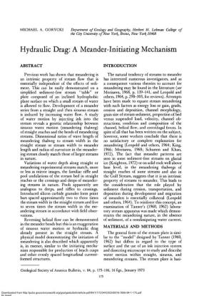 Hydraulic Drag: a Meander-Initiating Mechanism