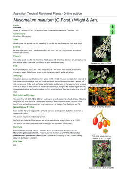 Micromelum Minutum (G.Forst.) Wight & Arn