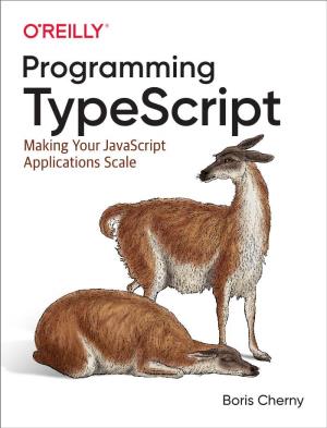 Programming Typescript Making Your Javascript Applications Scale