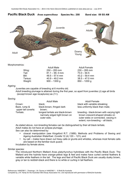 Pacific Black Duck Anas Superciliosa Species No.: 208 Band Size: 09 SS AM