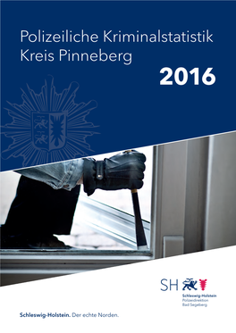 Polizeiliche Kriminalstatistik Kreis Pinneberg 2016