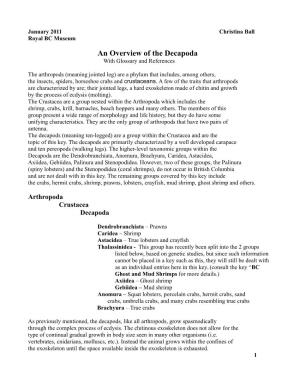 An Overview of the Decapoda with Glossary and References