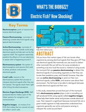 Electric Fish? How Shocking!
