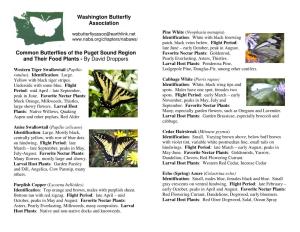 Washington Butterfly Association Common Butterflies of the Puget Sound Region and Their Food Plants