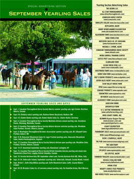 September Yearling Sales