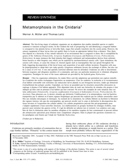 Metamorphosis in the Cnidaria1