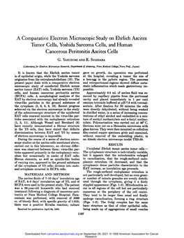 A Comparative Electron Microscopic Study on Ehrlich Ascites Cancerous