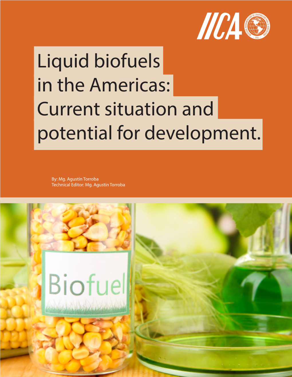 Liquid Biofuels in the Americas: Current Situation and Potential for Development