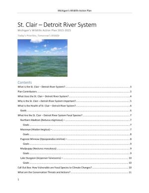St. Clair-Detroit River System (Accessible)