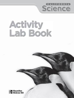 Activity Lapbook