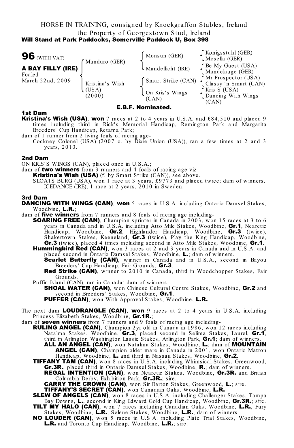 HORSE in TRAINING, Consigned by Knockgraffon Stables, Ireland the Property of Georgestown Stud, Ireland Will Stand at Park Paddocks, Somerville Paddock U, Box 398