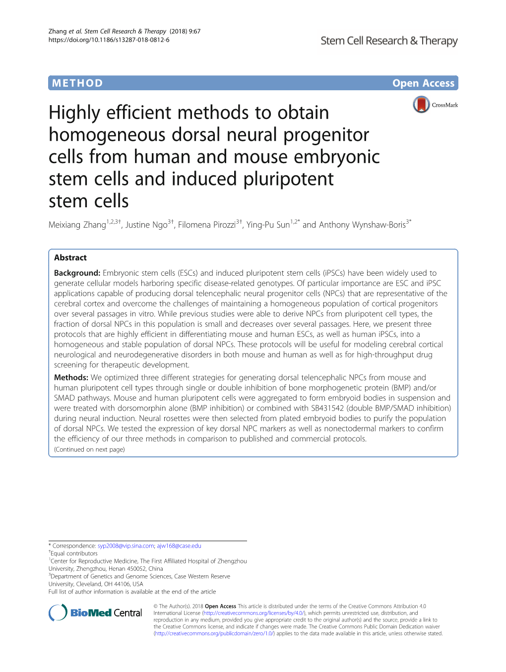 Highly Efficient Methods to Obtain Homogeneous Dorsal Neural