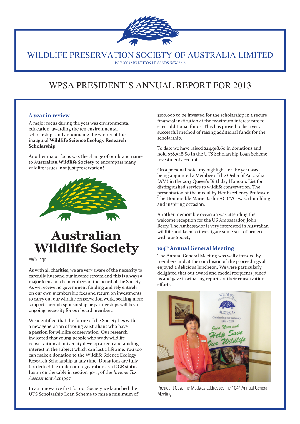 Wpsa President's Annual Report for 2013
