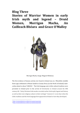 Blog Three Stories of Warrior Women in Early Irish Myth and Legend – Druid Women, Morrigan Macha, an Cailleach Bhéara and Grace O’Malley