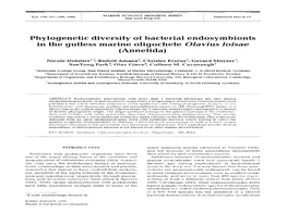 Phylogenetic Diversity of Bacterial Endosymbionts in the Gutless Marine Oligochete Olaviusloisae (Annelida)