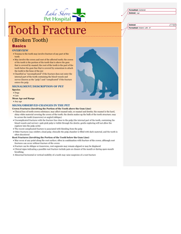 Tooth Fracture