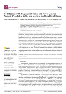 Co-Infection with Anaplasma Species and Novel Genetic Variants Detected in Cattle and Goats in the Republic of Korea