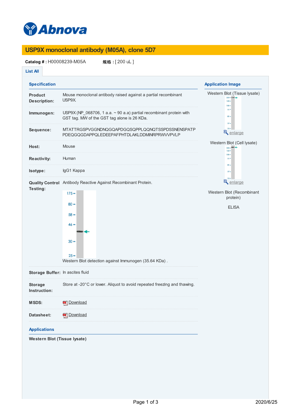 USP9X Monoclonal Antibody (M05A), Clone 5D7