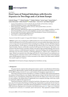 First Cases of Natural Infections with Borrelia Hispanica in Two Dogs and a Cat from Europe