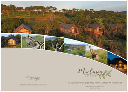Nature by Your Side and Mpumalanga at Your Feet