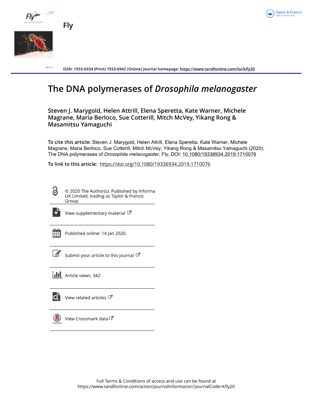 The DNA Polymerases of Drosophila Melanogaster