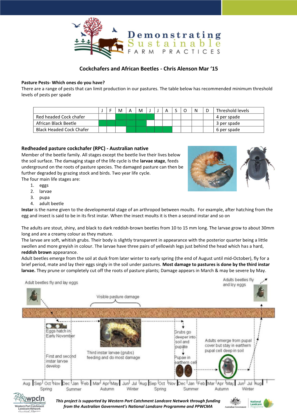 Cockchafers and African Black Beetles