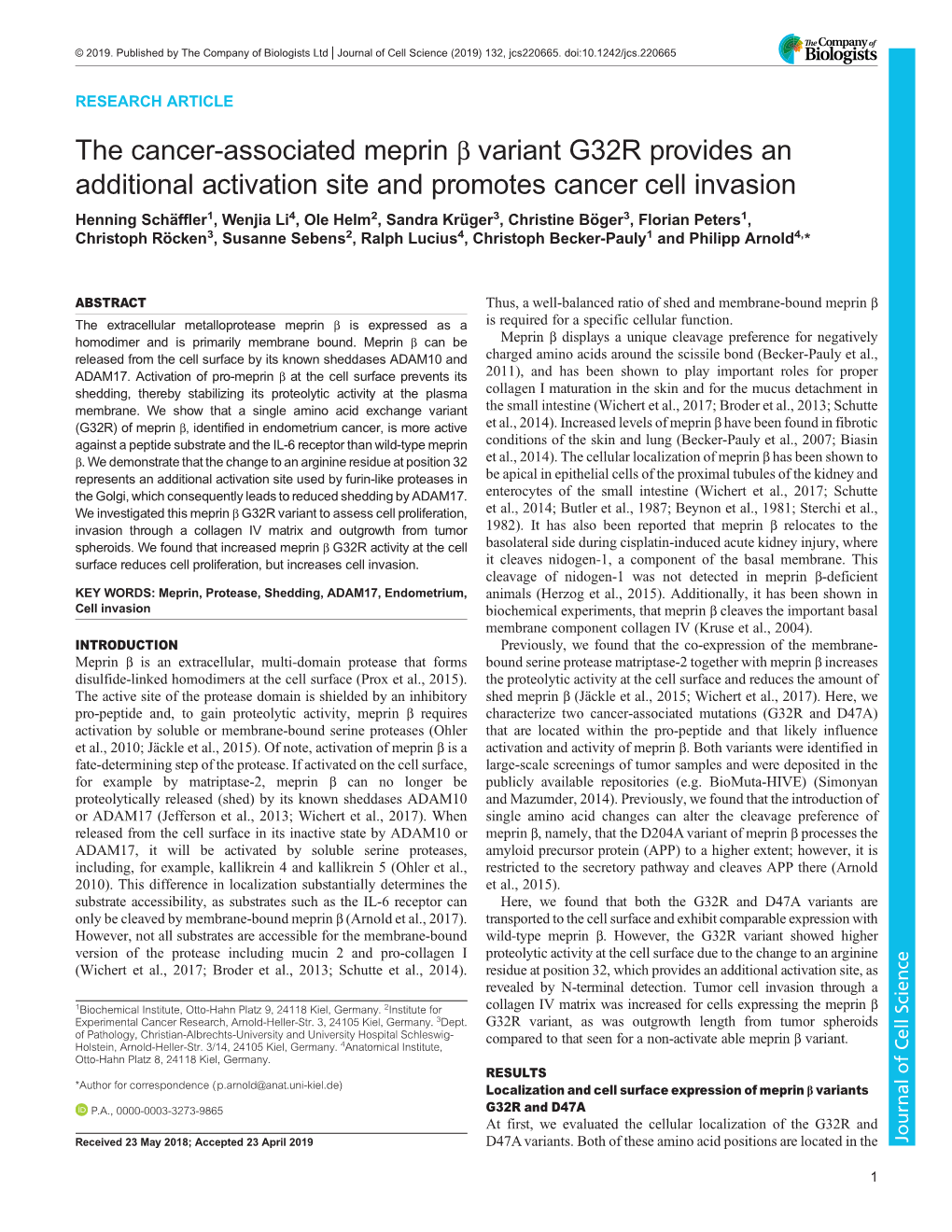 The Cancer-Associated Meprin Β Variant G32R Provides An