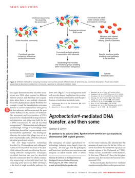 Agrobacterium-Mediated DNA Transfer, and Then Some