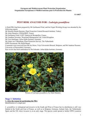 PEST RISK ANALYSIS for : Ludwigia Grandiflora