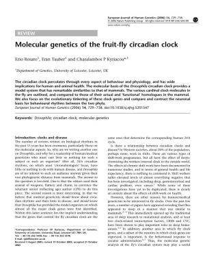 Molecular Genetics of the Fruit-Fly Circadian Clock