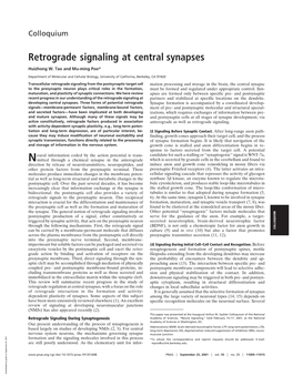 Retrograde Signaling at Central Synapses
