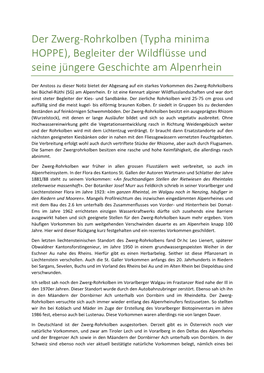Der Zwerg-Rohrkolben (Typha Minima HOPPE), Begleiter Der Wildflüsse Und Seine Jüngere Geschichte Am Alpenrhein