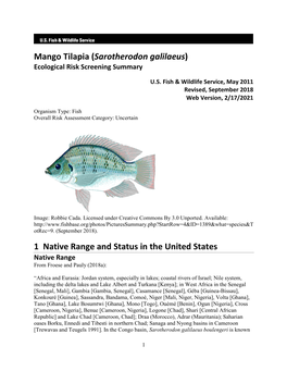 Mango Tilapia (Sarotherodon Galilaeus) Ecological Risk Screening Summary