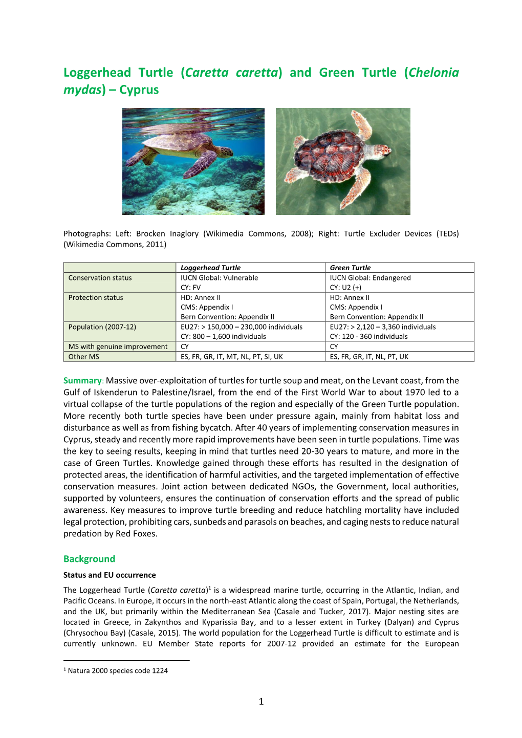 Loggerhead Turtle (Caretta Caretta) and Green Turtle (Chelonia Mydas) – Cyprus