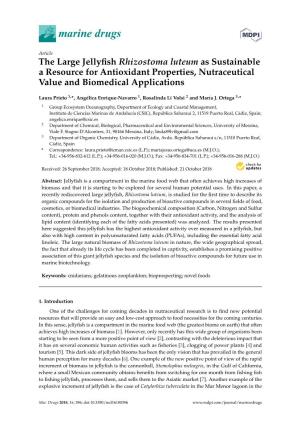 The Large Jellyfish Rhizostoma Luteum As Sustainable a Resource for Antioxidant Properties, Nutraceutical Value and Biomedical A