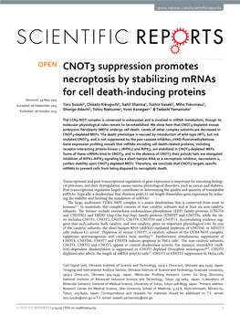CNOT3 Suppression Promotes Necroptosis by Stabilizing Mrnas